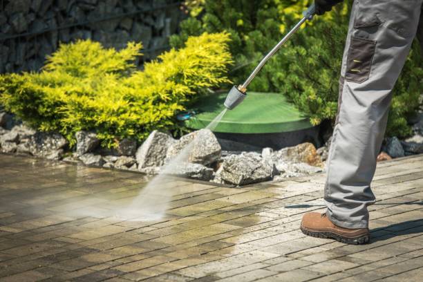 Best Vinyl Siding Pressure Washing in Cohasset, MN